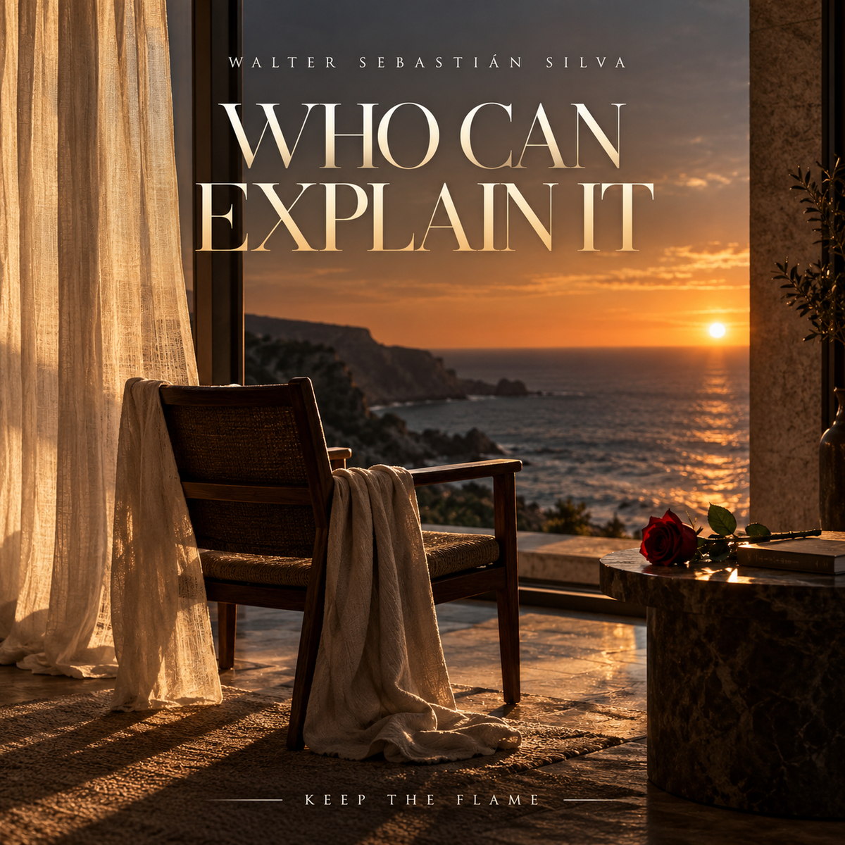 Who Can Explain It — Walter Sebastián Silva